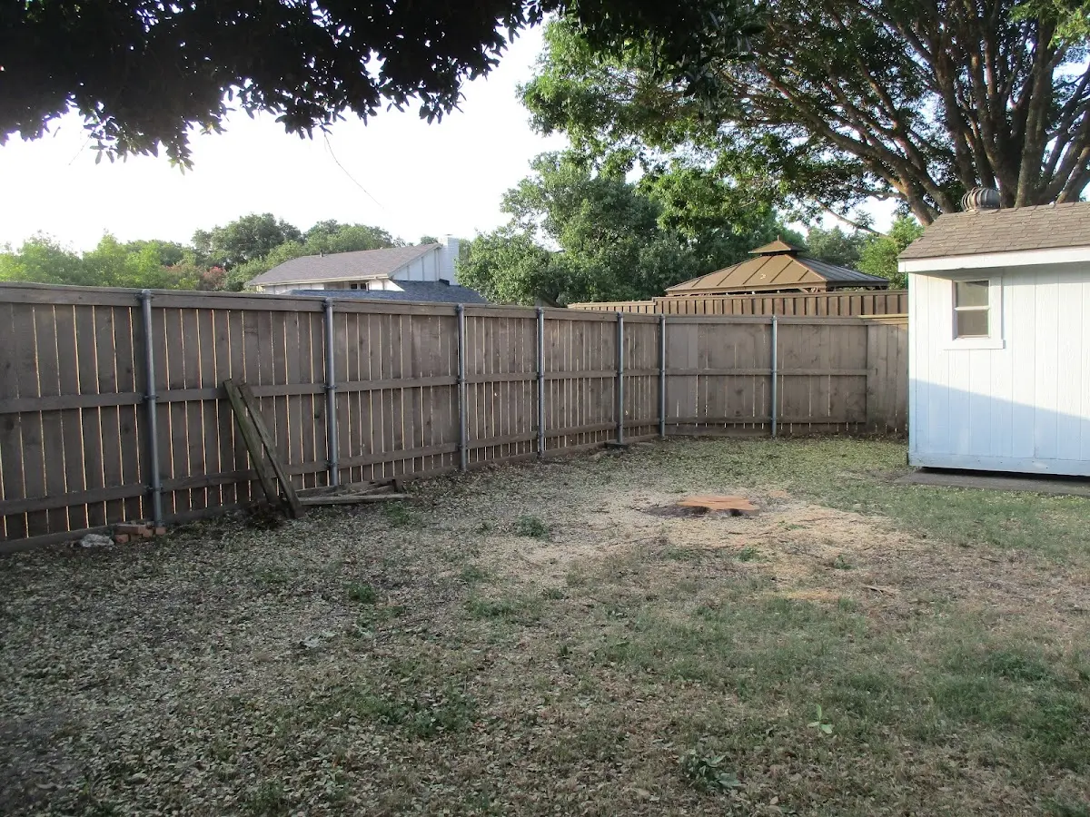 Cleared yard after professional tree removal in Phoenixville